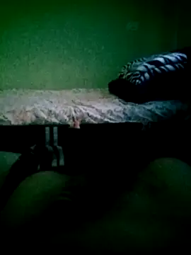 Snapshot of SOYMRX chatting on 17, 12, 2024 SOYMRX online show from 17, 12, 2024