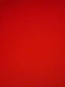 Melissa crazy online show from 9, 12, 2024