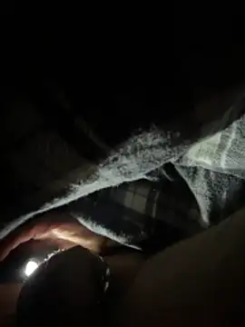 Snapshot of Shyboy817 chatting on 11, 3, 2026 Shyboy817 online show from 11, 3, 2026