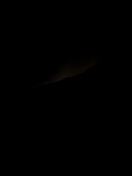 meuall3 online show from 14, 10, 2025