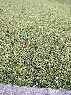 Eduardoxxx51 online show from 3, 12, 2025