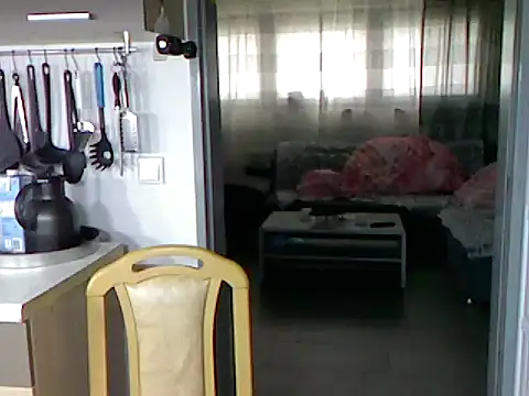 Snapshot of pimmelmann3 chatting on 15, 11, 2025 pimmelmann3 online show from 15, 11, 2025