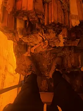 cussy007 online show from 16, 12, 2025