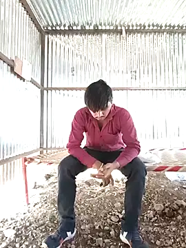 Kartik bbc indian online show from 13, 12, 2024