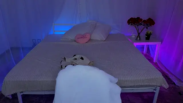 Hayle Hill online show from 8, 11, 2025