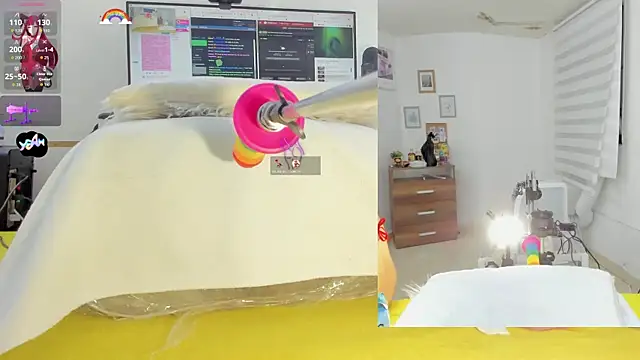 Daki Ume  online show from 8, 11, 2025