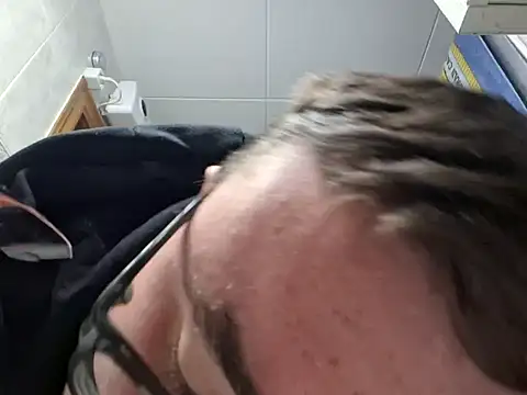 Javier bear online show from 7, 2, 2025