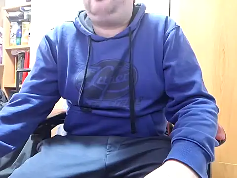 Javier bear online show from 10, 2, 2025