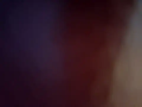 Javier bear online show from 14, 2, 2025