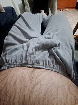 Javier bear online show from 20, 2, 2025