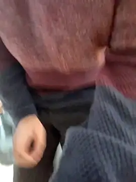 Javier bear online show from 20, 3, 2025