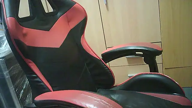 Javier bear online show from 19, 9, 2025