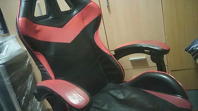 Javier bear online show from 17, 10, 2025