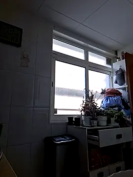 Javier bear online show from 22, 11, 2025