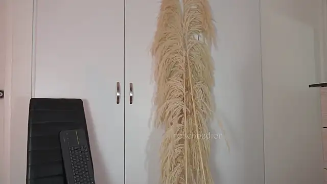 Snapshot of roselinedior chatting on 20, 10, 2025 roselinedior online show from 20, 10, 2025