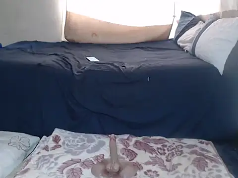 AdelaideT online show from 26, 2, 2026