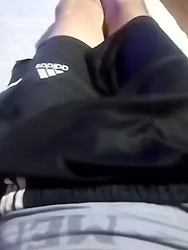 El22 1431 online show from 3, 1, 2025