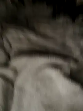 Tigerhill2023 online show from 27, 10, 2025