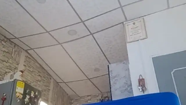 Lilly macflyy online show from 21, 2, 2026