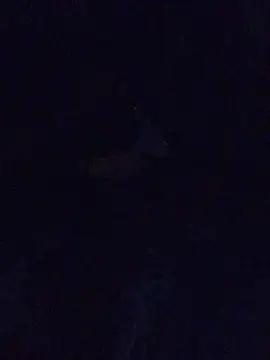 MrDickUdown24 7 online show from 23, 2, 2025