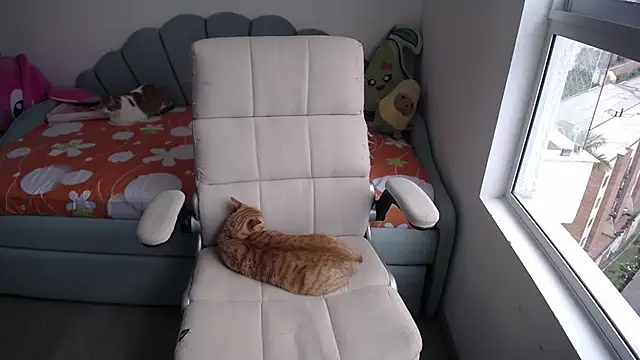 Snapshot of _arianalzate_ chatting on 29, 1, 2025 arianalzate online show from 29, 1, 2025