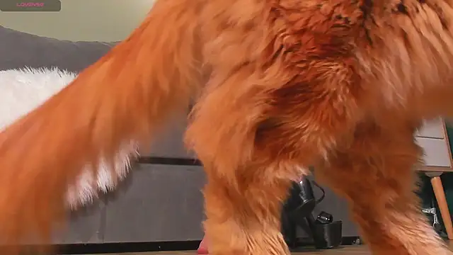 Snapshot of mistresslecter chatting on 22, 3, 2026 mistresslecter online show from 22, 3, 2026