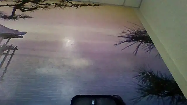 AliceTailor online show from 2, 2, 2026