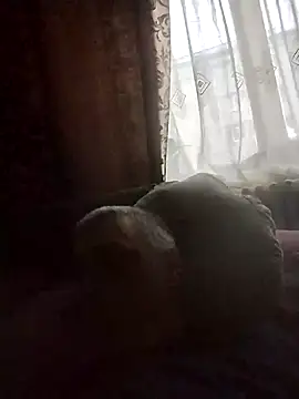 nink 77 online show from 2, 12, 2024