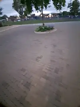 Petrossa online show from 6, 1, 2026