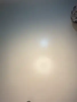 Reecekay online show from 5, 12, 2025