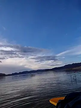 FloppyPickle4u online show from 13, 2, 2026