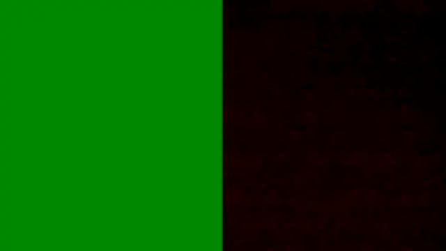 Snapshot of BongChannel chatting on 5, 1, 2025 BongChannel online show from 5, 1, 2025