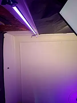 Snapshot of Tony_Torrente chatting on 17, 3, 2026 Tony Torrente online show from 17, 3, 2026