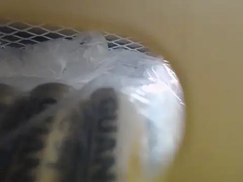 Snapshot of lovense_test04 chatting on 16, 10, 2025 lovense test04 online show from 16, 10, 2025