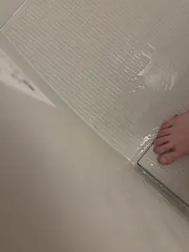 Snapshot of shiro_3 chatting on 14, 2, 2026 shiro 3 online show from 14, 2, 2026