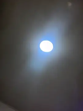 Snapshot of Jules_Anderson chatting on 11, 2, 2026 Jules Anderson online show from 11, 2, 2026