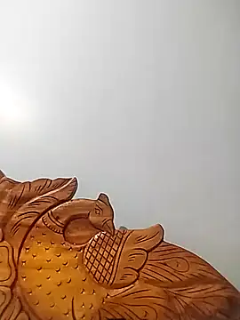 Snapshot of Bachuudaya chatting on 25, 11, 2025 Bachuudaya online show from 25, 11, 2025