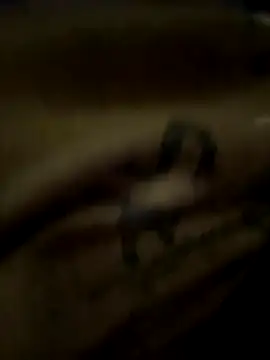 Snapshot of eveangelll chatting on 21, 10, 2025 eveangelll online show from 21, 10, 2025