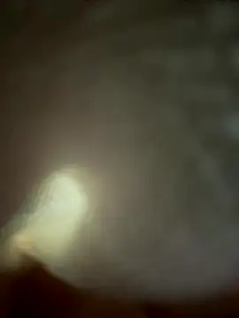 Snapshot of eveangelll chatting on 4, 11, 2025 eveangelll online show from 4, 11, 2025