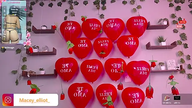 Snapshot of macey_elliot_ chatting on 15, 2, 2025 macey elliot online show from 15, 2, 2025