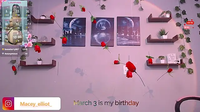 Snapshot of macey_elliot_ chatting on 27, 2, 2025 macey elliot online show from 27, 2, 2025