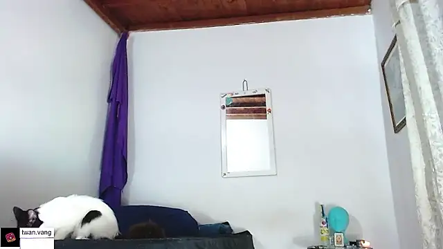 Trix fiore oficial online show from 14, 1, 2026