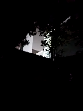 nkp23cm online show from 24, 11, 2025