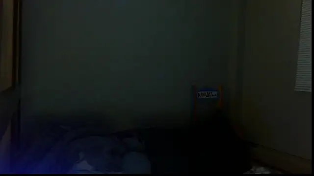 SexWorkerX online show from 15, 10, 2025