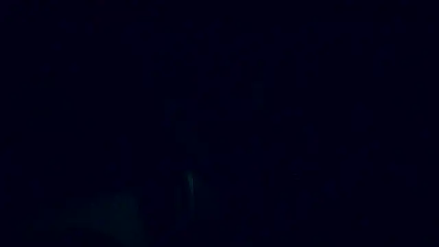 Snapshot of Lia_Y_PatrickX chatting on 6, 2, 2025 Lia Y PatrickX online show from 6, 2, 2025