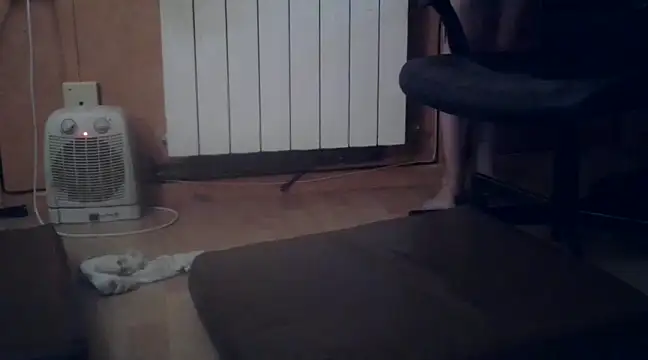 Snapshot of Lia_Y_PatrickX chatting on 27, 2, 2025 Lia Y PatrickX online show from 27, 2, 2025