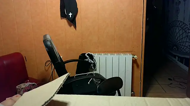 Snapshot of Lia_Y_PatrickX chatting on 30, 9, 2025 Lia Y PatrickX online show from 30, 9, 2025