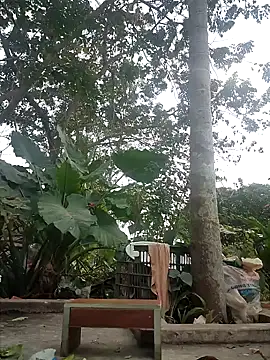 Snapshot of zizi_public chatting on 30, 12, 2024 zizi public online show from 30, 12, 2024