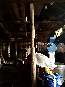 Sarpe84 online show from 19, 1, 2025