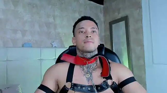 Stiven collins online show from 20, 12, 2024